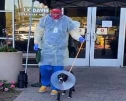 Tyler loves animals and raised funds for a dog named Odin who required surgery through his social media network.